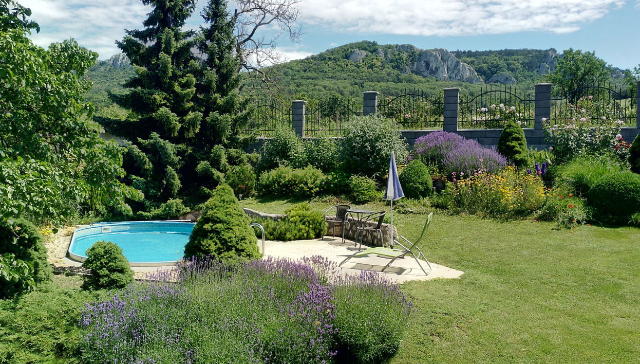 Haus mit 2 Schlafzimmern in Horní Věstonice mit privater pool und garten - Foto 1