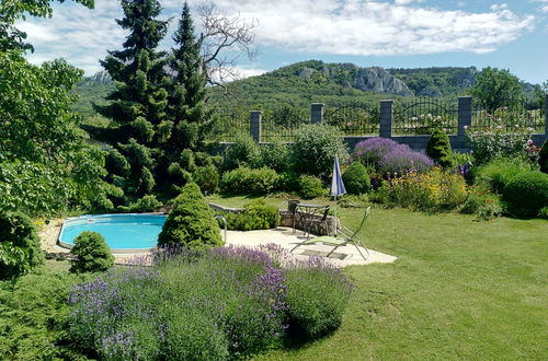 Photo 1 - Maison de 2 chambres à Horní Věstonice avec piscine privée et jardin