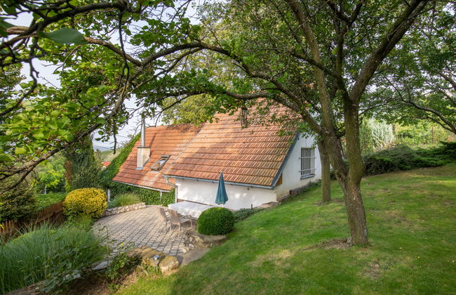 Haus mit 2 Schlafzimmern in Horní Věstonice mit privater pool und garten - Foto 2