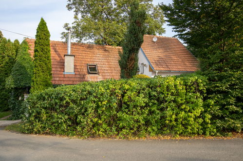 Foto 19 - Casa con 2 camere da letto a Horní Věstonice con piscina privata e giardino