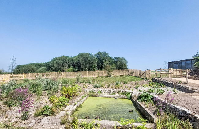 Haus mit 3 Schlafzimmern in Paimpol mit garten - Foto 25
