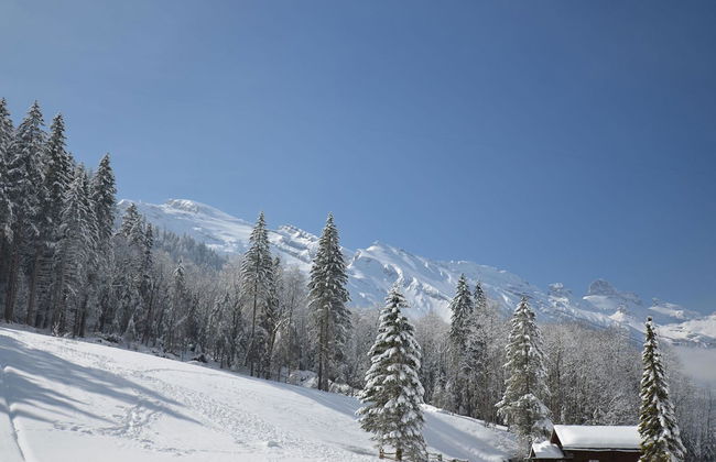 Apartamento de 3 quartos em Engelberg - Foto 24