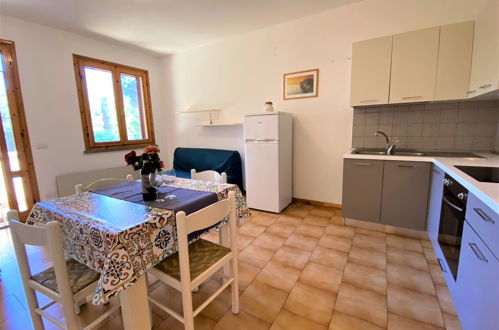 Foto 10 - Apartment mit 1 Schlafzimmer in Rosignano Marittimo mit terrasse und blick aufs meer
