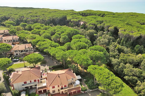 Photo 22 - 1 bedroom Apartment in Rosignano Marittimo with terrace and sea view