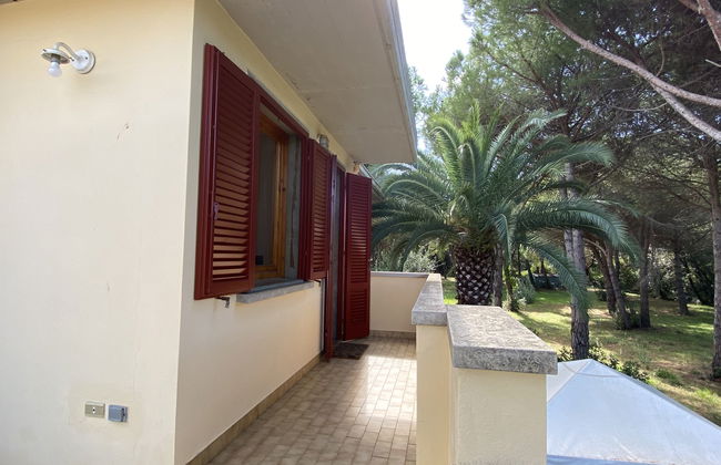 Apartamento de 2 quartos em Rosignano Marittimo com jardim e terraço - Foto 26
