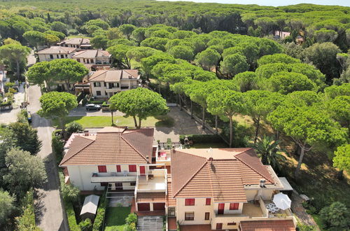 Foto 23 - Appartamento con 1 camera da letto a Rosignano Marittimo con terrazza e vista mare