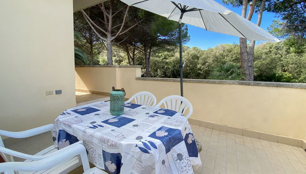 Apartment mit 2 Schlafzimmern in Rosignano Marittimo mit garten und terrasse - Foto 2