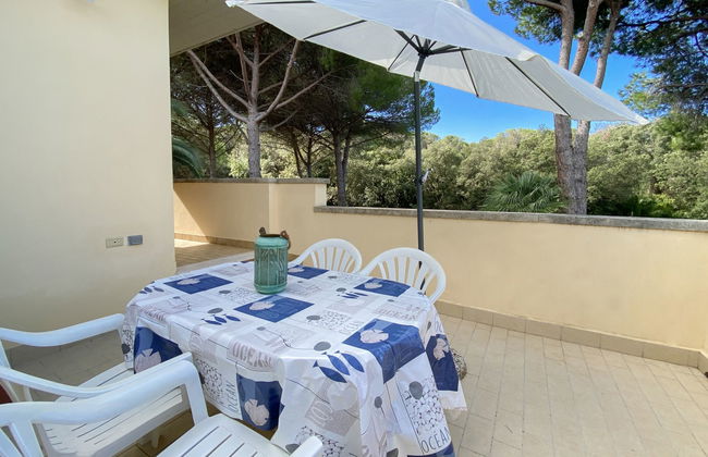 Apartamento de 2 quartos em Rosignano Marittimo com jardim e terraço - Foto 2