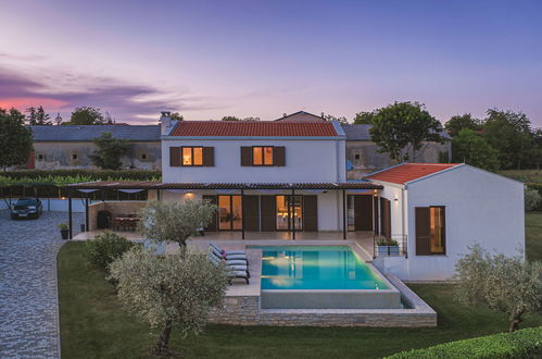 Photo 20 - Maison de 3 chambres à Sveti Petar u Šumi avec piscine privée et jardin