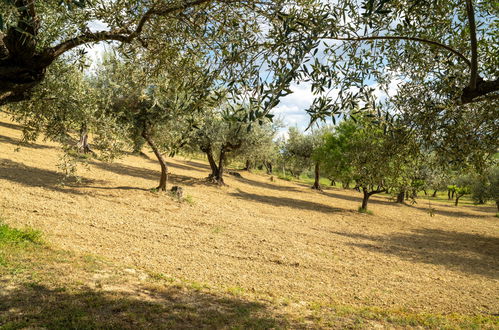 Foto 35 - Appartamento con 1 camera da letto a Collecorvino con piscina e giardino