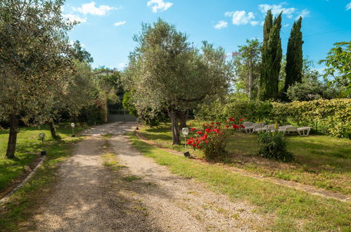 Foto 42 - Appartamento con 1 camera da letto a Collecorvino con piscina e giardino