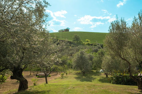 Foto 41 - Appartamento con 1 camera da letto a Collecorvino con piscina e giardino