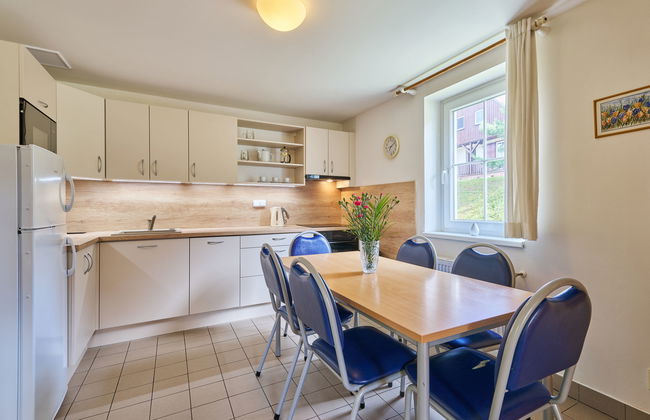 Casa de 3 quartos em Černý Důl com piscina e jardim - Foto 5