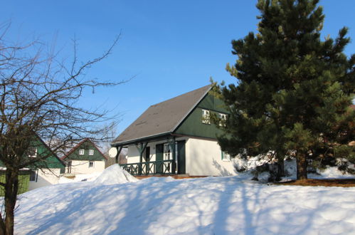 Foto 26 - Casa con 3 camere da letto a Černý Důl con piscina e giardino