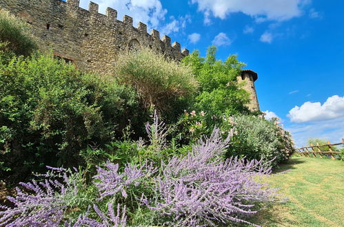 Photo 39 - 1 bedroom Apartment in Carpaneto Piacentino with garden