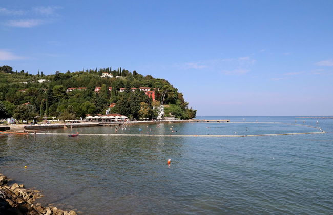 Apartamento de 1 quarto em Piran com piscina e jardim - Foto 36