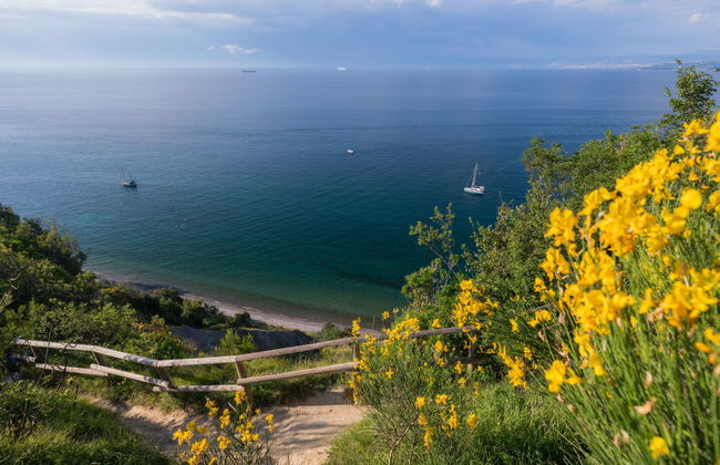 Apartamento de 1 quarto em Piran com piscina e jardim - Foto 46