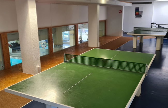 Appartement de 2 chambres à Sankt Englmar avec piscine et sauna - Photo 18