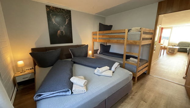 Apartment mit 2 Schlafzimmern in Sankt Englmar mit schwimmbad und sauna - Foto 3