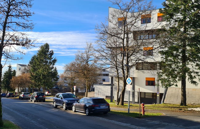 Appartement de 2 chambres à Sankt Englmar avec piscine et sauna - Photo 19