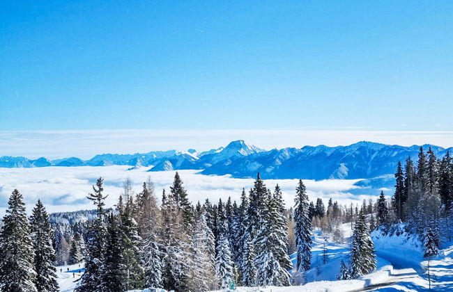 Apartamento de 2 quartos em Steindorf am Ossiacher See com jardim - Foto 34