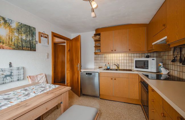 Apartamento de 2 quartos em Filzmoos com jardim - Foto 9
