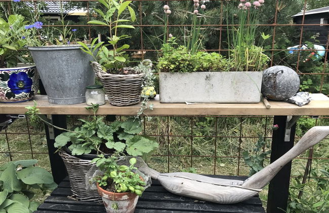 Casa de 1 quarto em Gedser com terraço - Foto 11