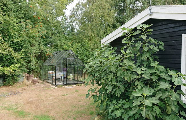 Casa de 1 quarto em Gedser com terraço - Foto 14