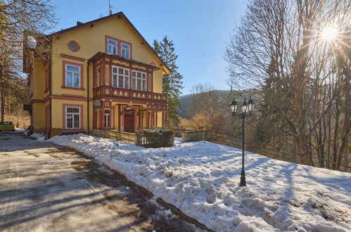 Photo 16 - 1 bedroom Apartment in Janské Lázně with mountain view