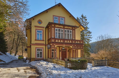 Photo 23 - Appartement en Janské Lázně avec jardin