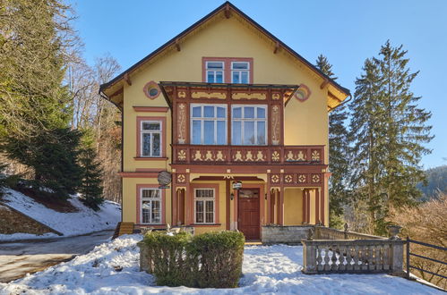 Photo 21 - Appartement de 1 chambre à Janské Lázně avec vues sur la montagne