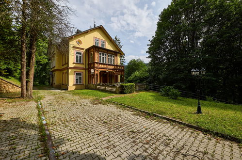 Photo 25 - 1 bedroom Apartment in Janské Lázně with garden