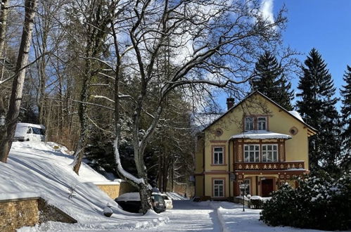 Photo 12 - Appartement de 1 chambre à Janské Lázně avec vues sur la montagne