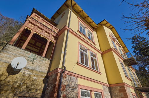 Photo 19 - 1 bedroom Apartment in Janské Lázně with mountain view