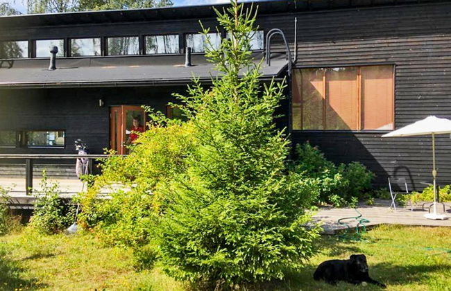 Haus mit 2 Schlafzimmern in Mikkeli mit sauna - Foto 1