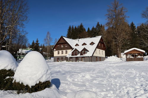 Photo 21 - Appartement de 1 chambre à Harrachov avec jardin