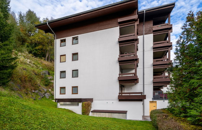 Apartamento de 2 quartos em Saalfelden am Steinernen Meer - Foto 25