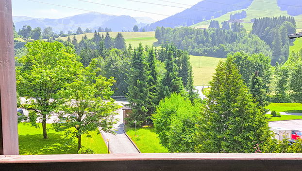 Appartement de 2 chambres à Saalfelden am Steinernen Meer - Photo 2