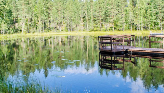Haus mit 3 Schlafzimmern in Lieksa - Foto 3