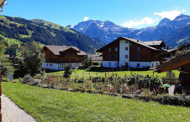 Apartamento de 1 quarto em Lenk - Foto 8