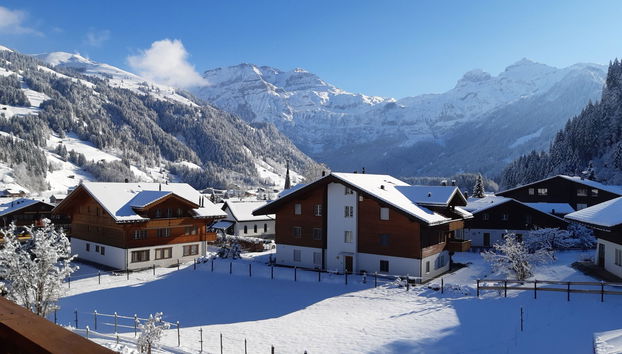 Apartment mit 1 Schlafzimmer in Lenk - Foto 5
