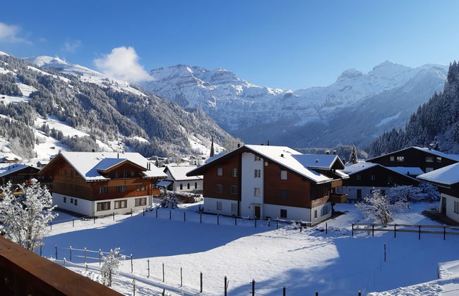 Apartamento de 1 quarto em Lenk - Foto 5