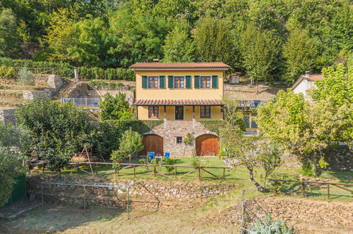 Foto 27 - Casa con 2 camere da letto a Seravezza con piscina privata e vista mare