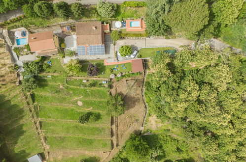 Photo 26 - Maison de 2 chambres à Seravezza avec piscine privée et jardin