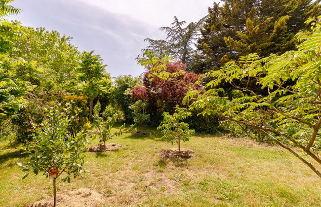 Casa con 4 camere da letto a Les Sables-d'Olonne con piscina privata e giardino - Foto 29