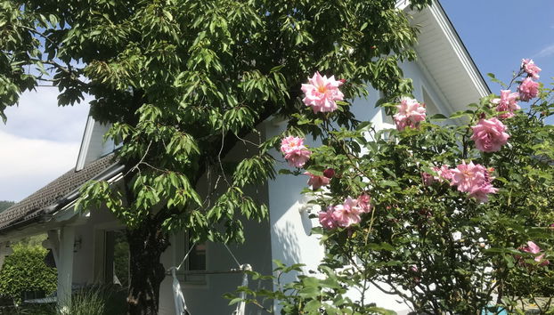 Casa de 3 quartos em Finkenstein am Faaker See com jardim e terraço - Foto 2