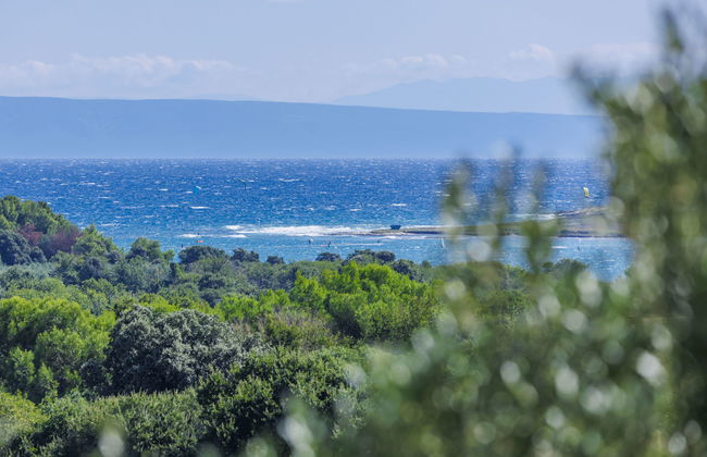 Apartamento de 3 quartos em Ližnjan com piscina e jardim - Foto 9