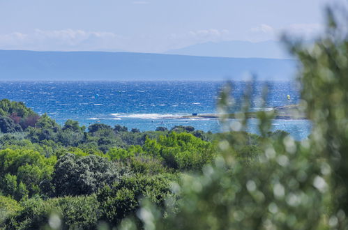 Foto 9 - Appartamento con 2 camere da letto a Ližnjan con piscina e vista mare