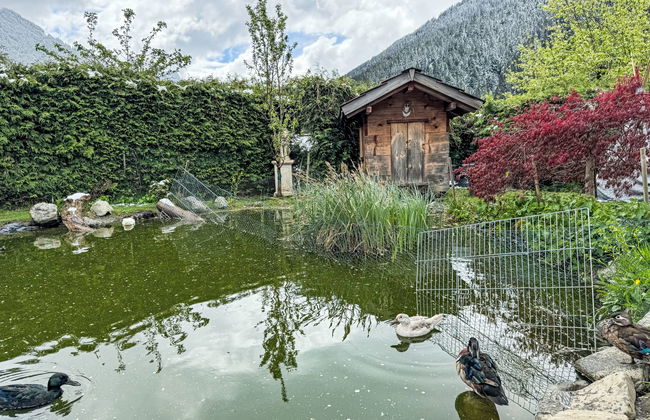 Apartamento de 3 quartos em Sankt Gallenkirch com jardim - Foto 35