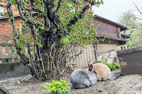 Photo 27 - Appartement en Sankt Gallenkirch avec jardin